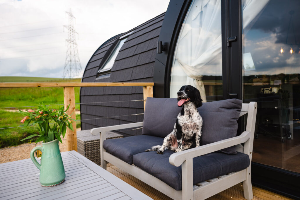 Dog-friendly luxury lodge photography featuring a pet on outdoor furniture at a Rutland holiday retreat
