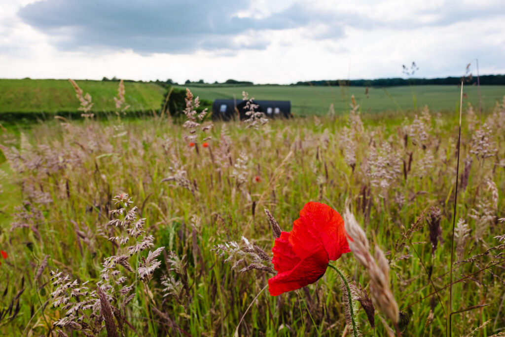 Exterior architectural photography of luxury holiday lodges set in the Rutland countryside