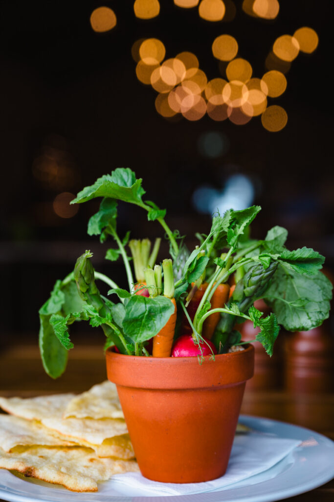 plant pot plated starter at boutique east midlands hotel